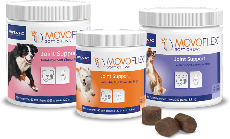 MOVOFLEX® Soft Chews